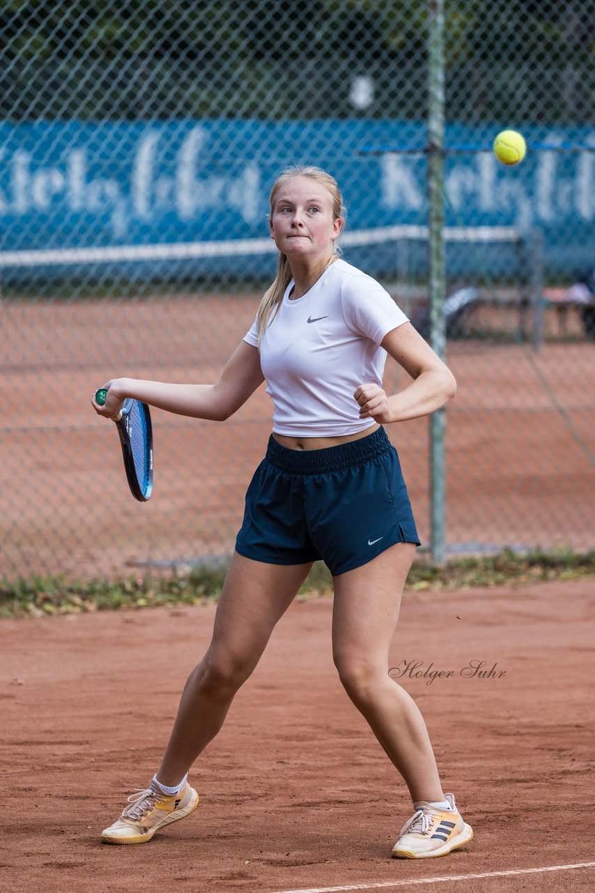 Bild 240 - dreyermedia open